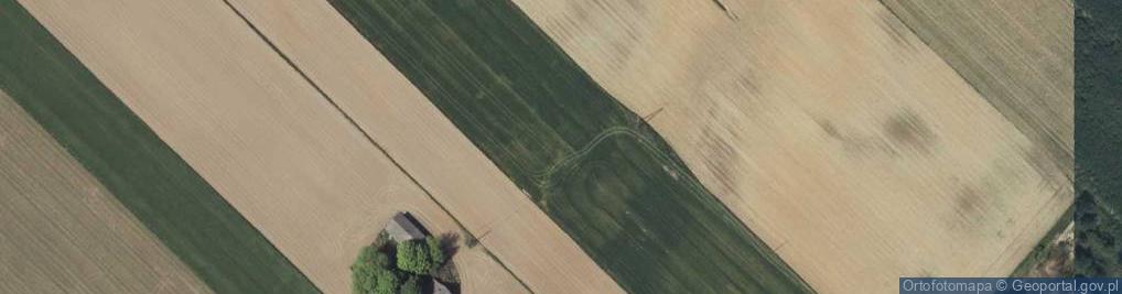 Zdjęcie satelitarne Zemborzyce Dolne ul.