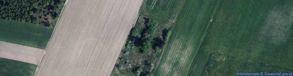 Zdjęcie satelitarne Żerocin ul.