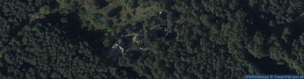 Zdjęcie satelitarne Zgoda ul.