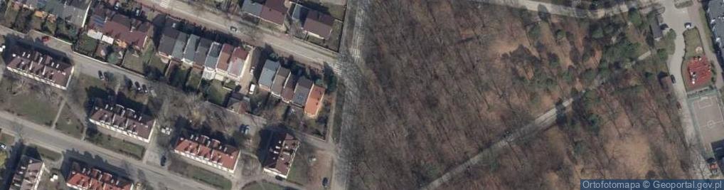 Zdjęcie satelitarne Zgodna ul.