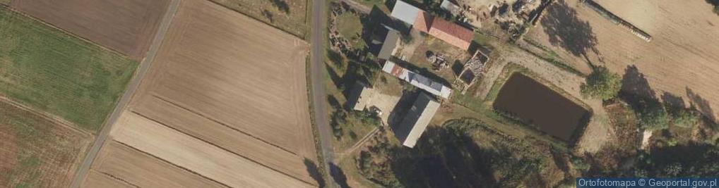 Zdjęcie satelitarne Zgniły Głuszynek ul.