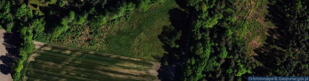 Zdjęcie satelitarne Zielona ul.