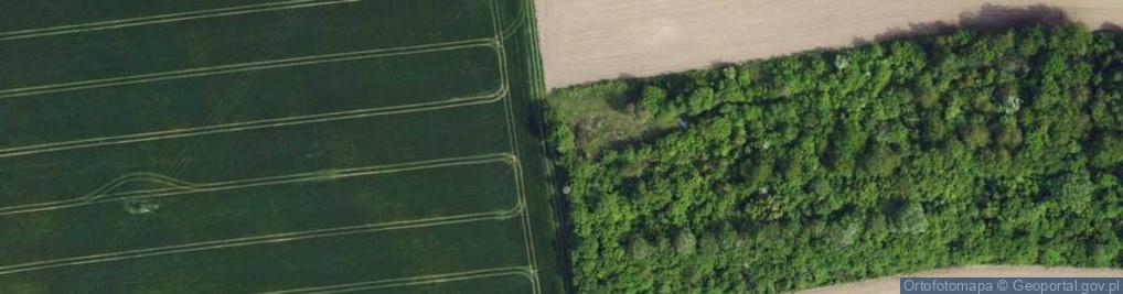 Zdjęcie satelitarne Zielna ul.