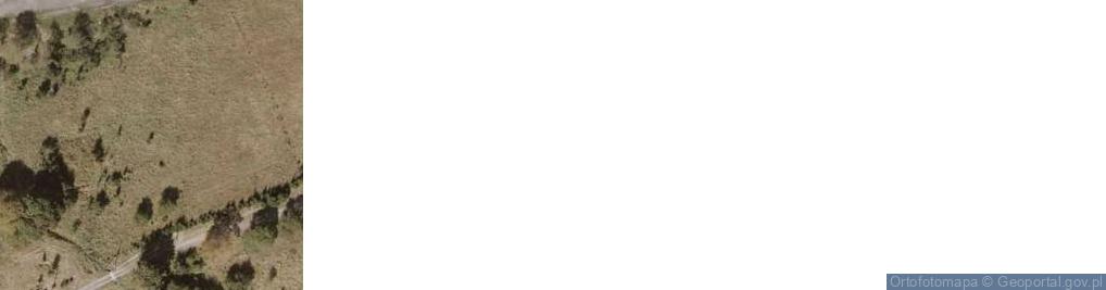 Zdjęcie satelitarne Zieleniec ul.