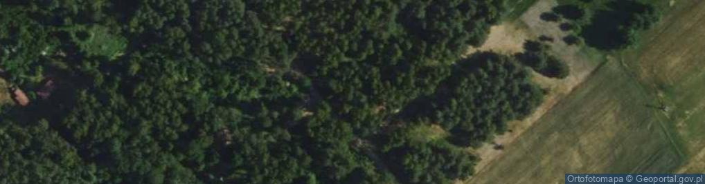 Zdjęcie satelitarne Ziołowa ul.