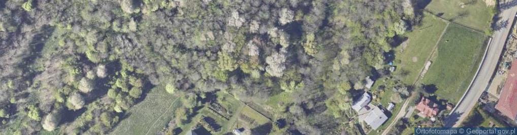 Zdjęcie satelitarne Zielona ul.