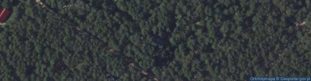 Zdjęcie satelitarne Zimowa ul.