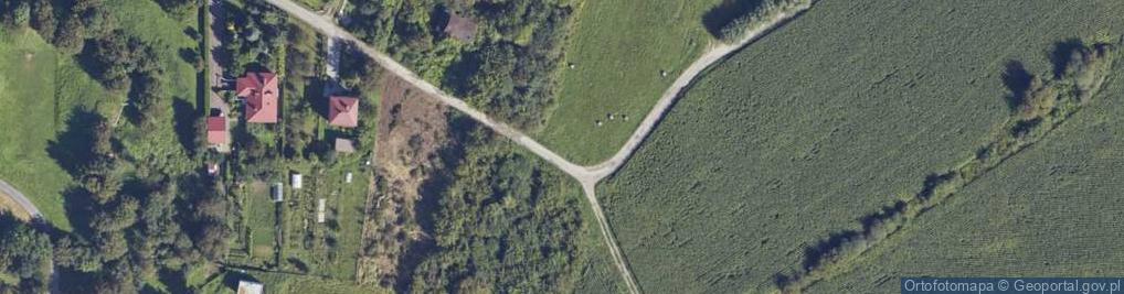 Zdjęcie satelitarne Zielona ul.