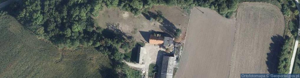 Zdjęcie satelitarne Zielona Góra ul.