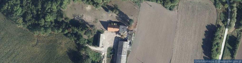 Zdjęcie satelitarne Zielona Góra ul.
