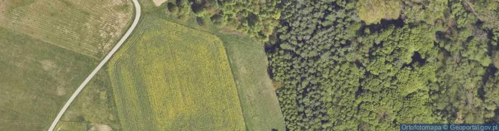 Zdjęcie satelitarne Zielona ul.