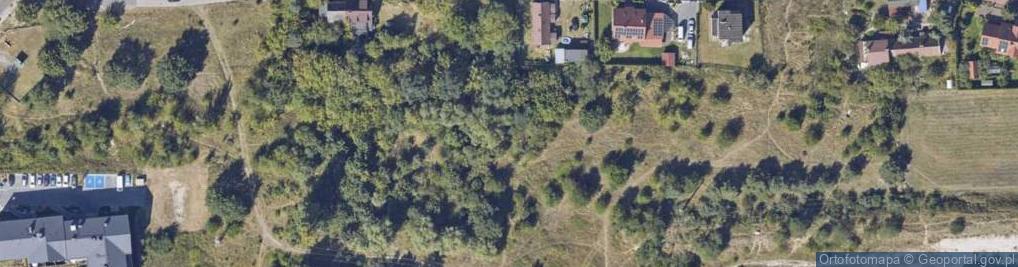 Zdjęcie satelitarne Zimowa ul.
