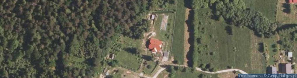 Zdjęcie satelitarne Zielona Górna ul.