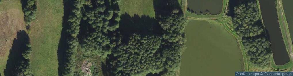 Zdjęcie satelitarne Ziemiańska ul.