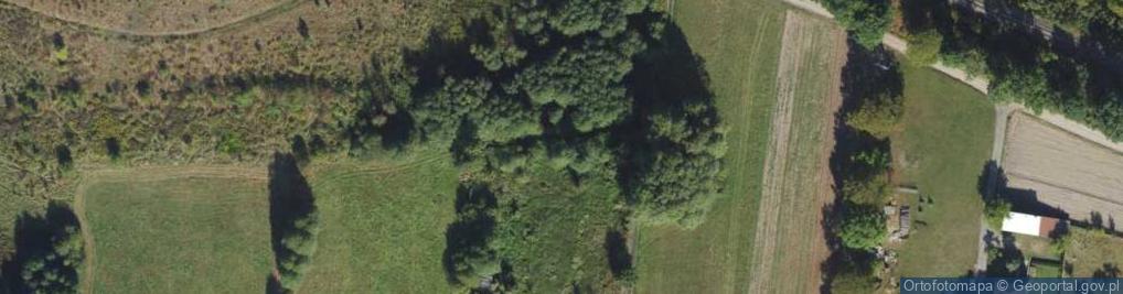 Zdjęcie satelitarne Ziemiańska ul.
