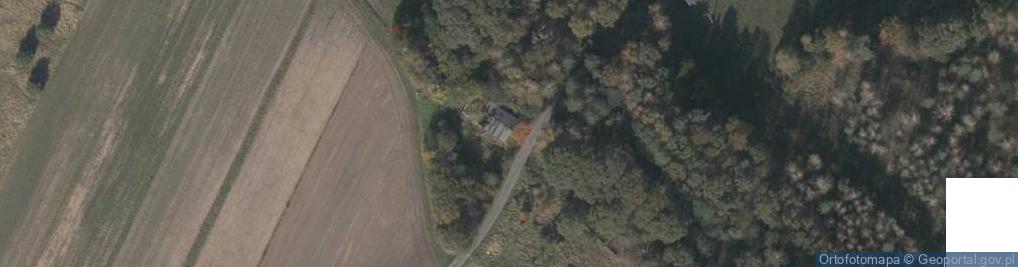 Zdjęcie satelitarne Ziai ul.