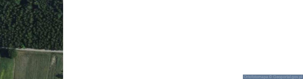 Zdjęcie satelitarne Ziębów ul.