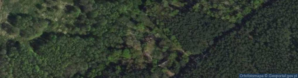 Zdjęcie satelitarne Zielęcice ul.