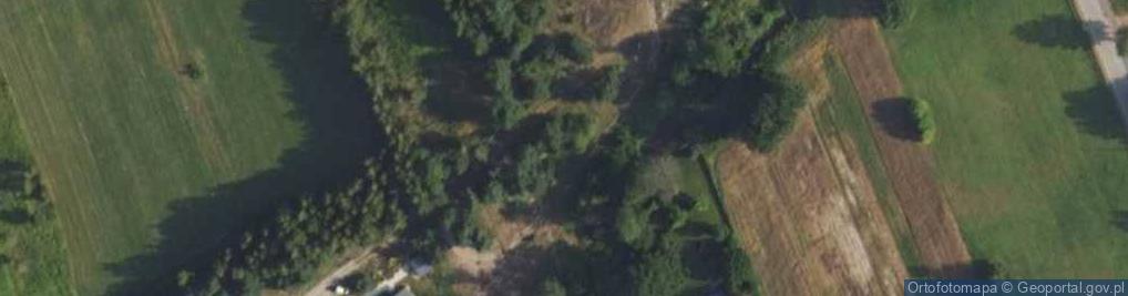 Zdjęcie satelitarne Złota ul.