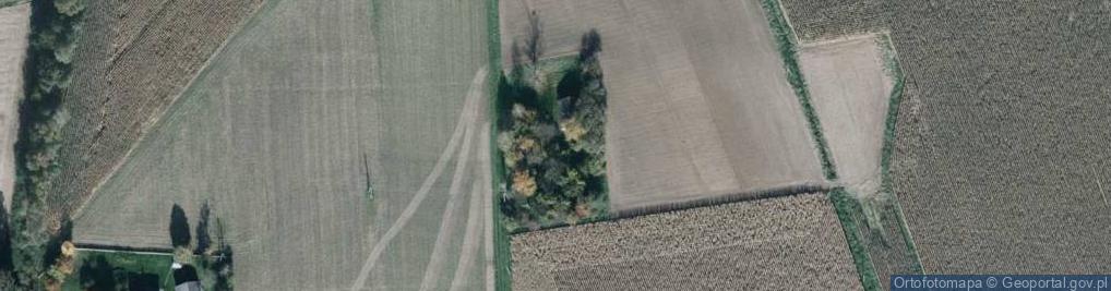 Zdjęcie satelitarne Żniwna ul.