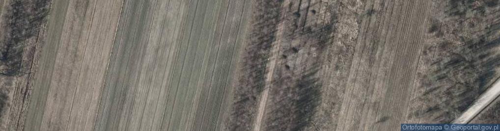 Zdjęcie satelitarne Zorzy ul.