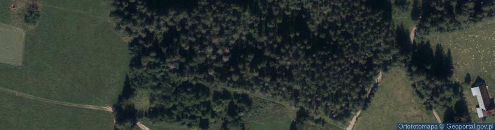 Zdjęcie satelitarne Zokówka ul.