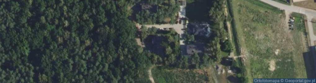 Zdjęcie satelitarne Żółwińska ul.
