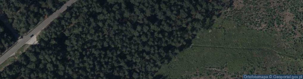 Zdjęcie satelitarne Zosi ul.