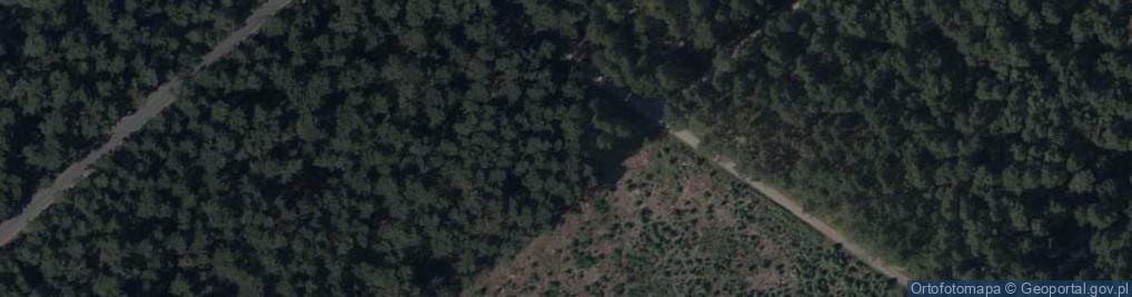 Zdjęcie satelitarne Zosi ul.