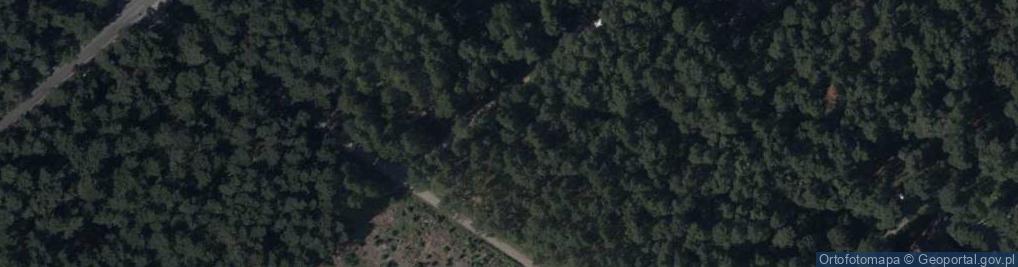 Zdjęcie satelitarne Zosi ul.