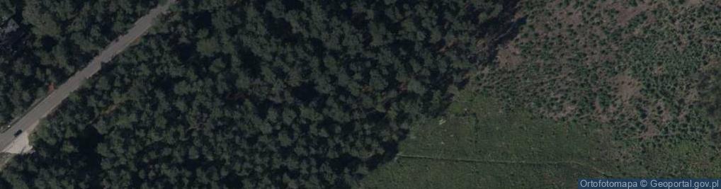 Zdjęcie satelitarne Zosi ul.