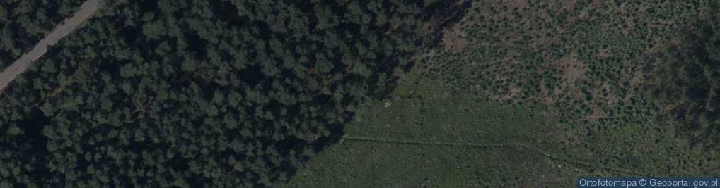 Zdjęcie satelitarne Zosi ul.