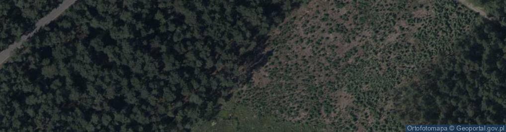 Zdjęcie satelitarne Zosi ul.