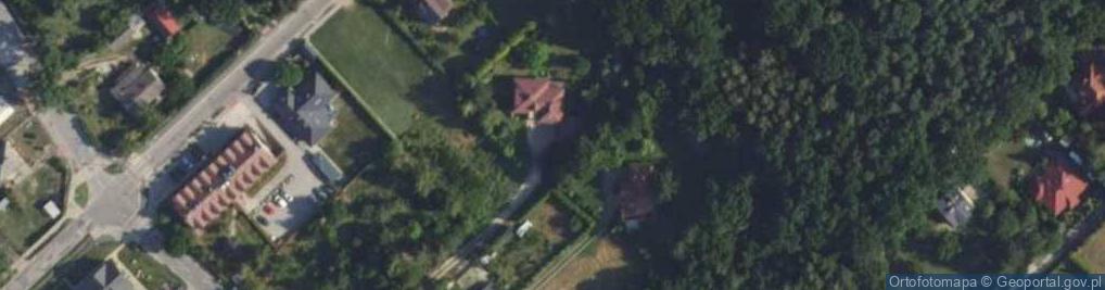 Zdjęcie satelitarne Żółwińska ul.