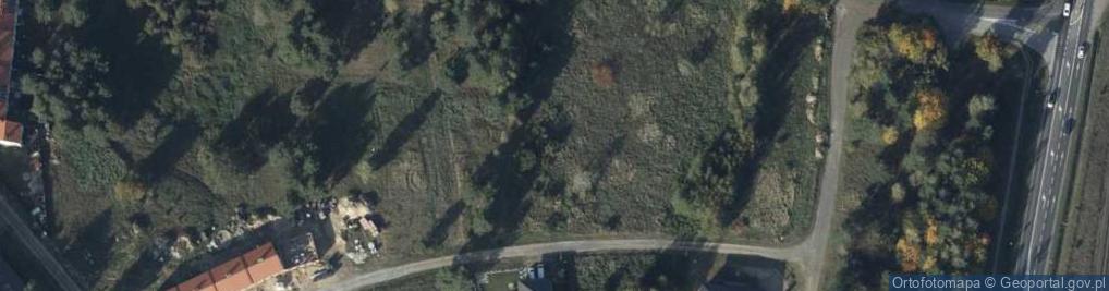 Zdjęcie satelitarne Żółta ul.