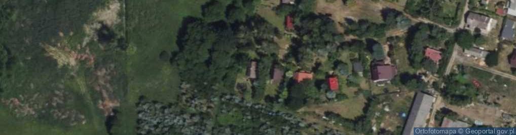 Zdjęcie satelitarne Zofiówka ul.