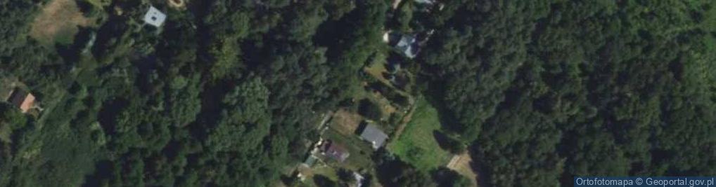 Zdjęcie satelitarne Zofiówka ul.