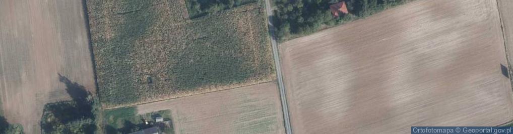 Zdjęcie satelitarne Zofiówka ul.