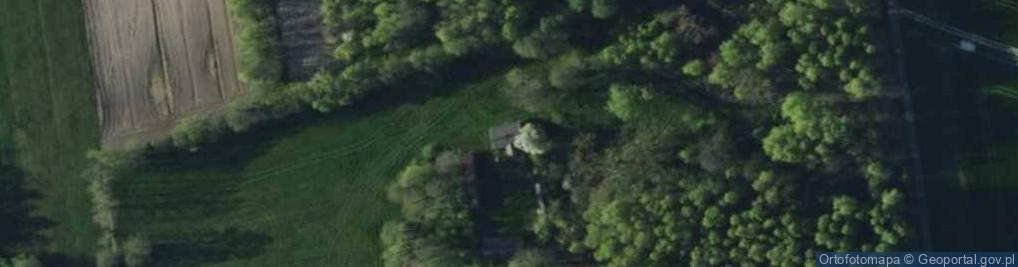 Zdjęcie satelitarne Zofiówka ul.