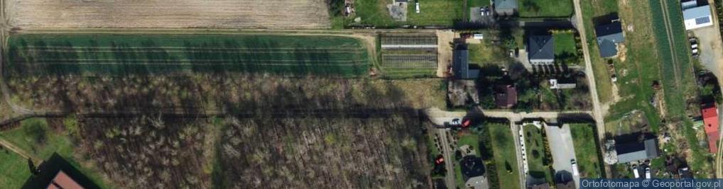 Zdjęcie satelitarne Źródlana ul.