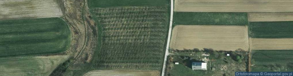 Zdjęcie satelitarne Źródlana ul.