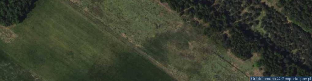 Zdjęcie satelitarne Żurawia ul.