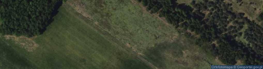 Zdjęcie satelitarne Żurawia ul.