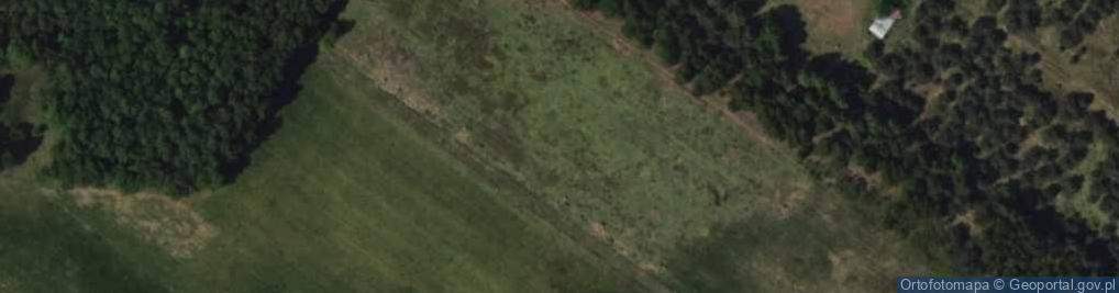 Zdjęcie satelitarne Żurawia ul.