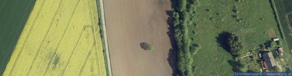 Zdjęcie satelitarne Żurawia ul.