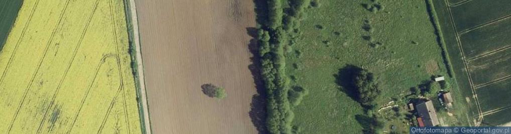 Zdjęcie satelitarne Żurawia ul.