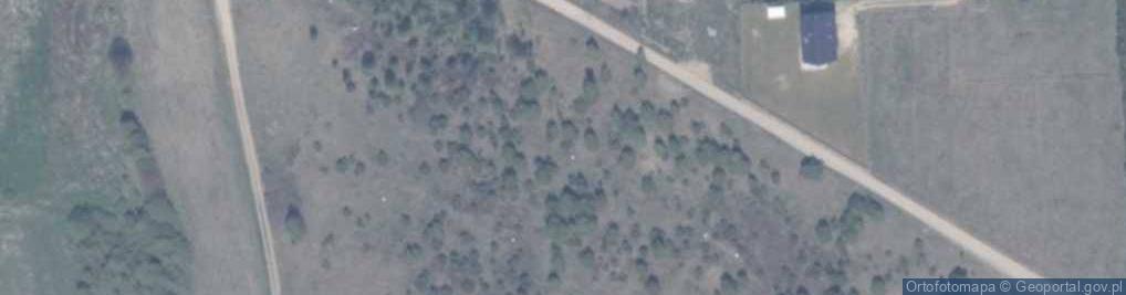 Zdjęcie satelitarne Żurawia ul.