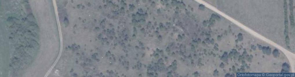 Zdjęcie satelitarne Żurawia ul.