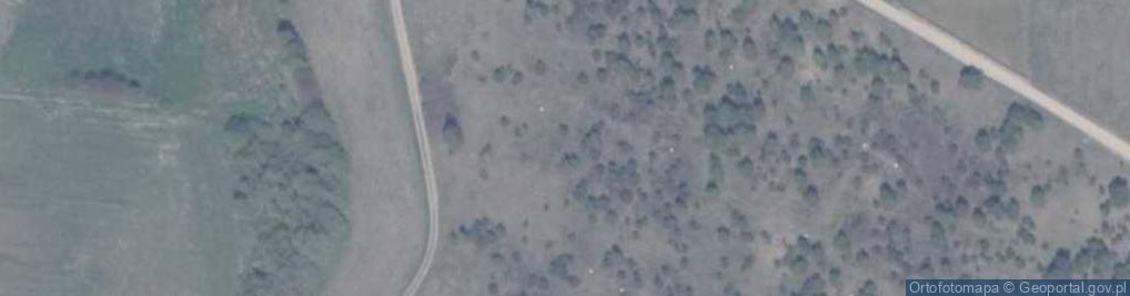 Zdjęcie satelitarne Żurawia ul.