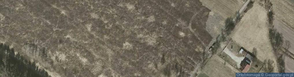 Zdjęcie satelitarne Zuchów ul.